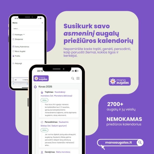 Manoaugalas.lt - išmanioji alternatyva standartinėms augalų priežiūros programėlėms